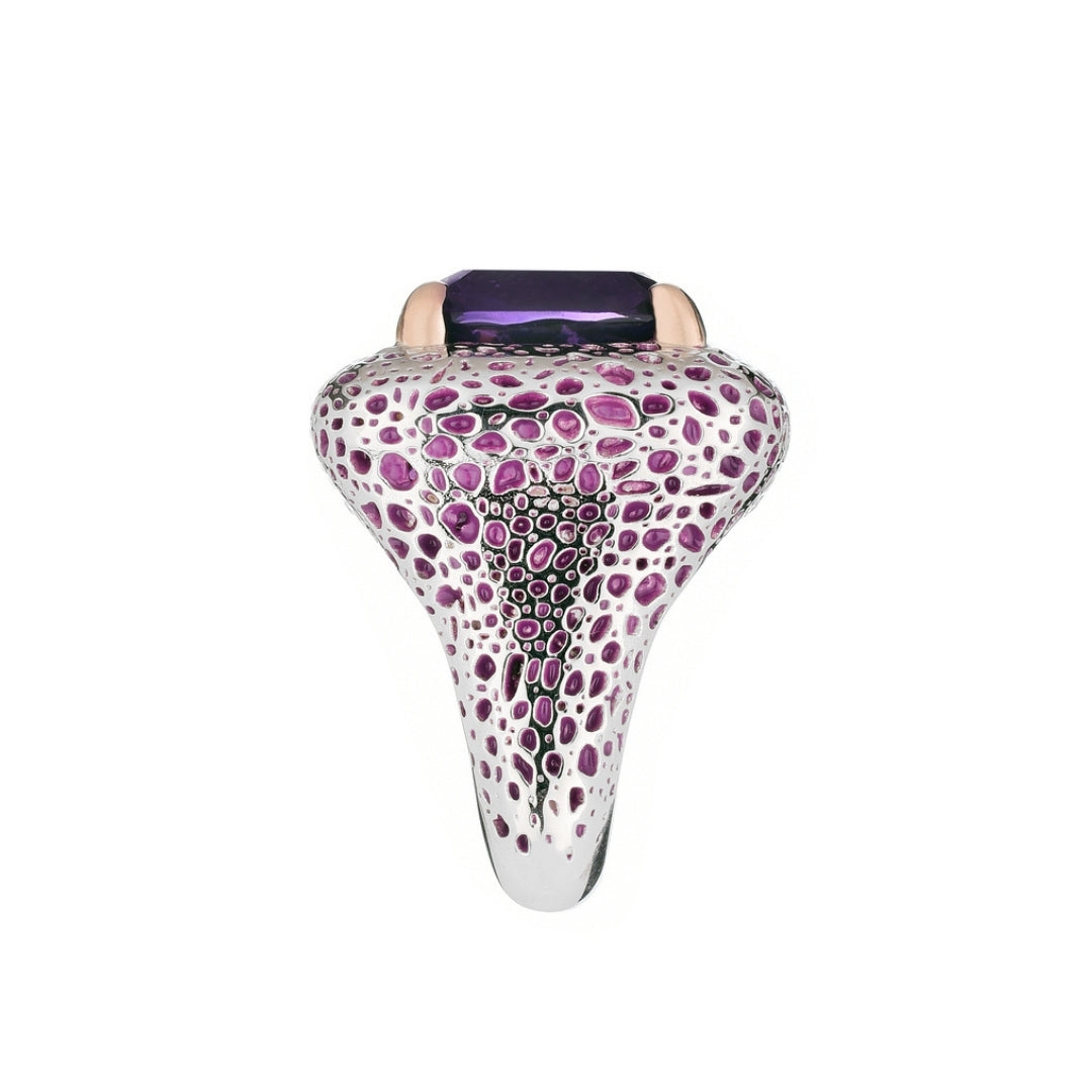 MIMI Anello Vulcanica