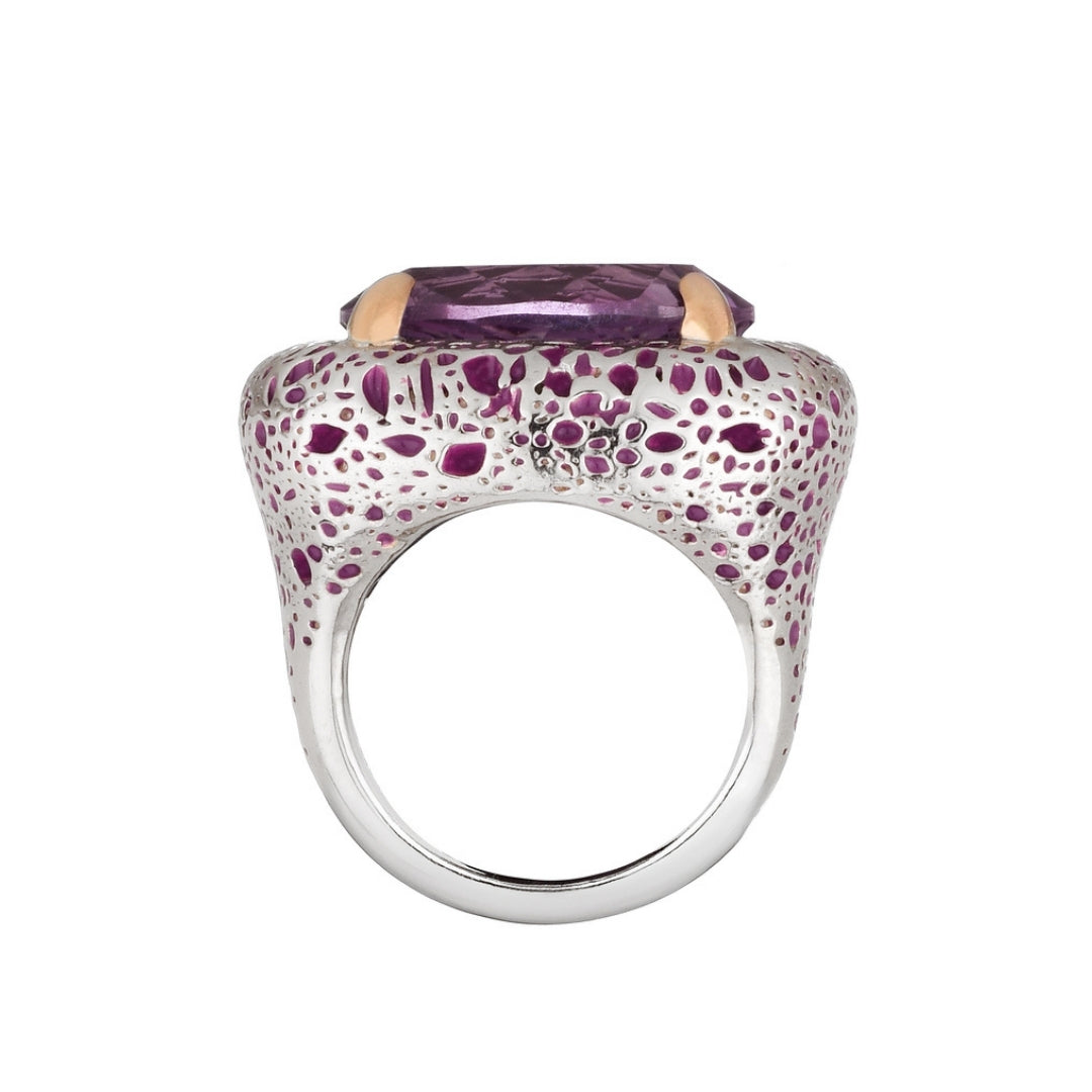 MIMI Anello Vulcanica