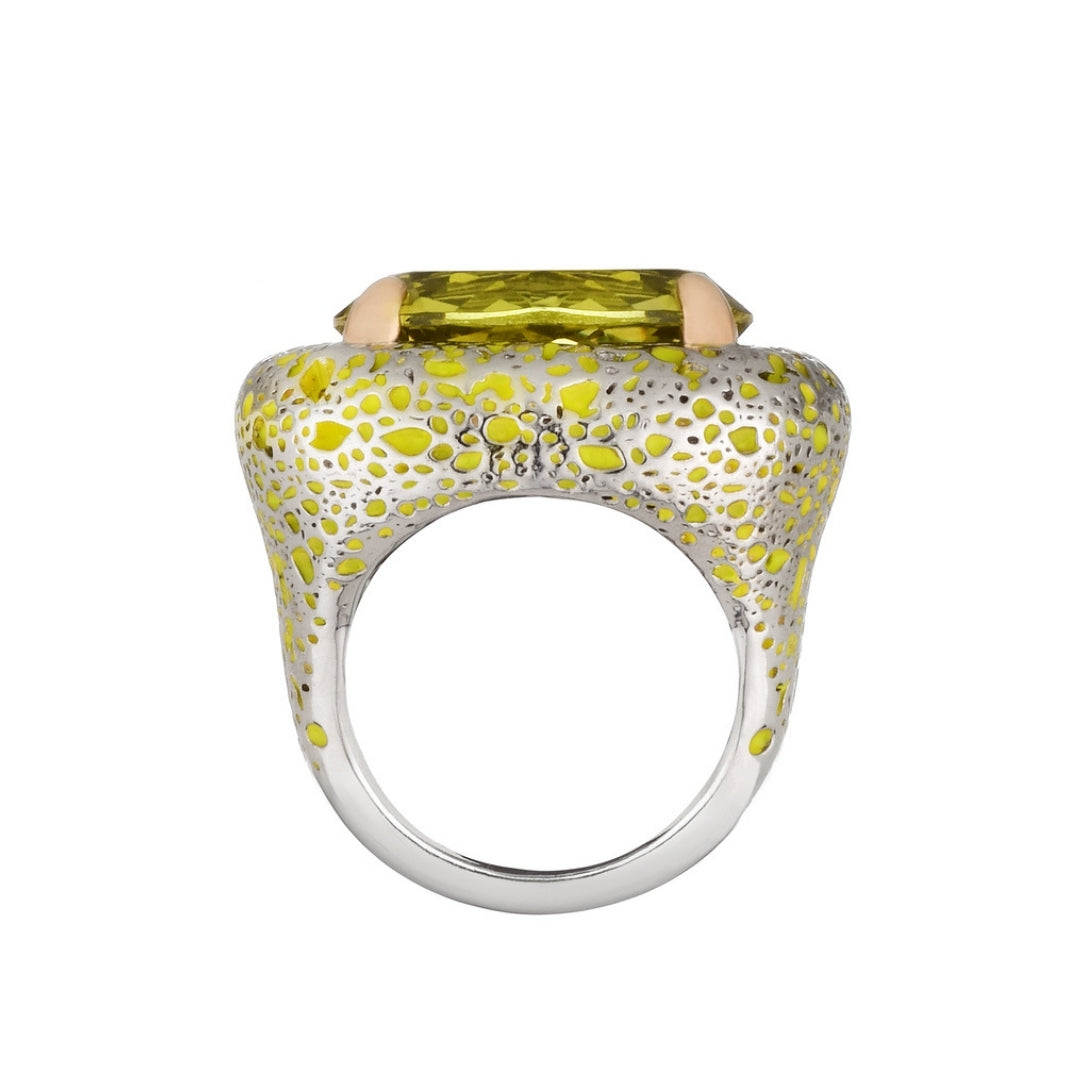 MIMI Anello Vulcanica