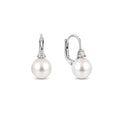White Akoya pearl hook earrings