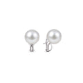 White South Sea pearl earrings