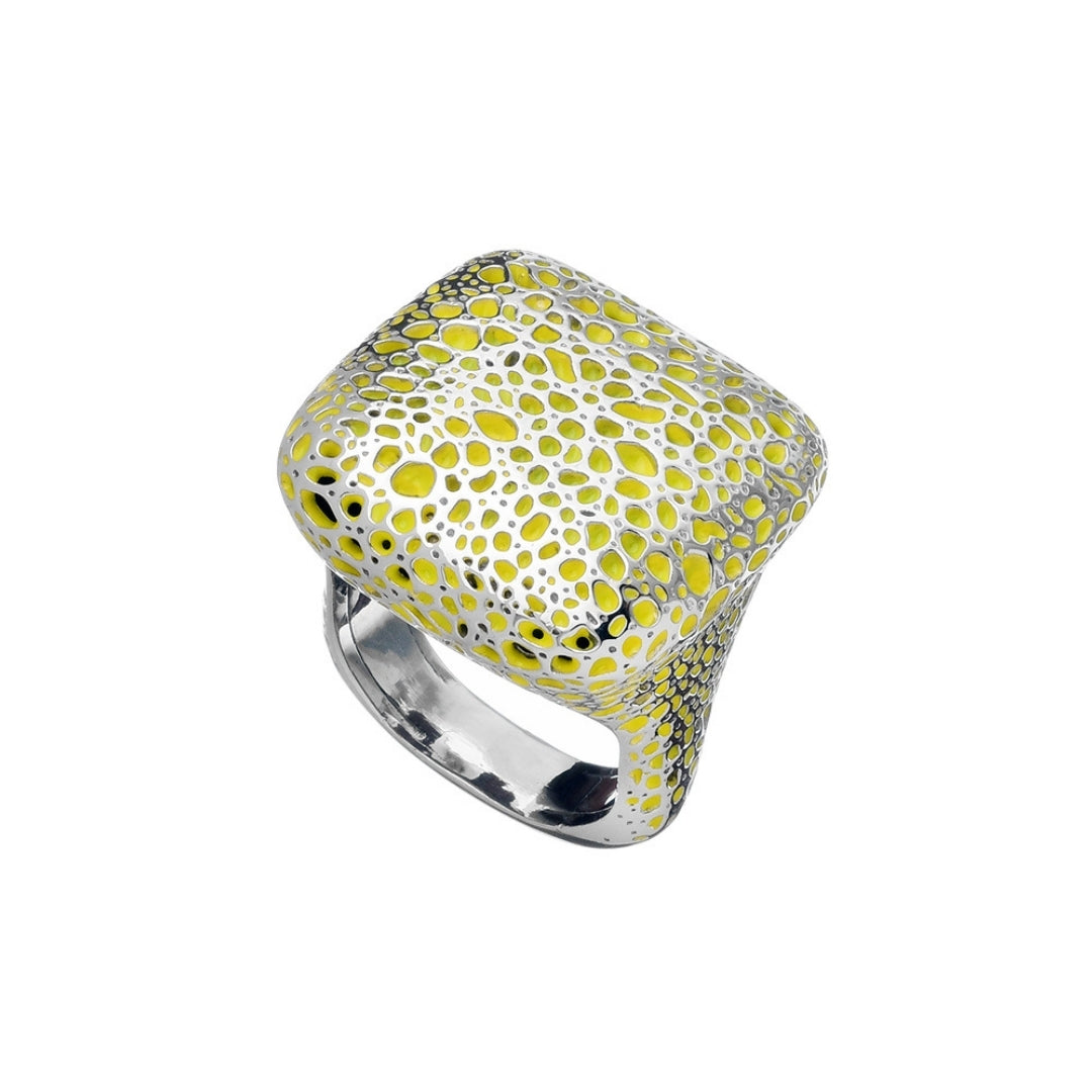 MIMI Anello Vulcanica