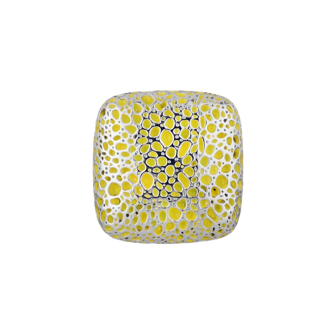 MIMI Anello Vulcanica