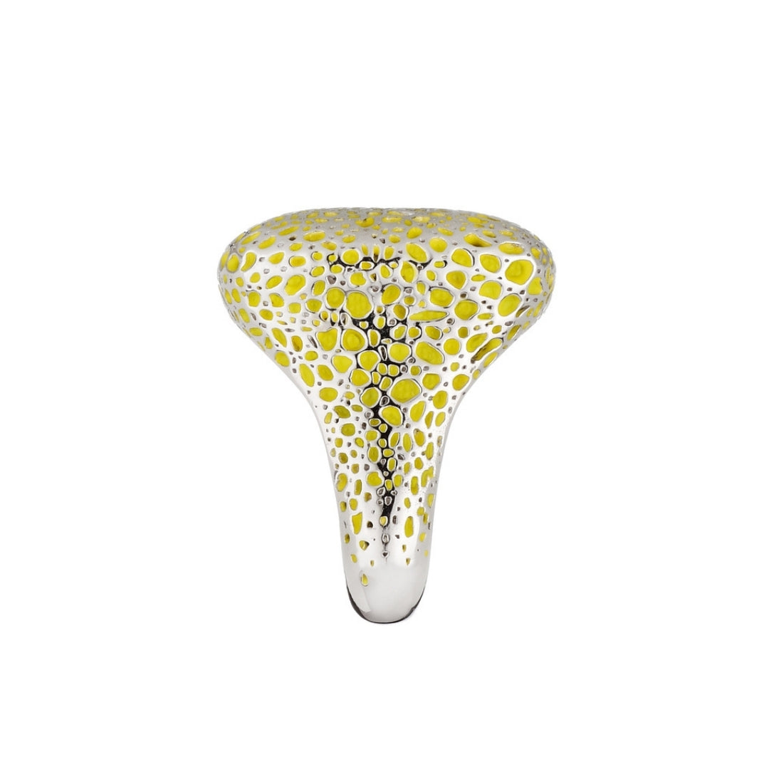 MIMI Anello Vulcanica