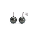 Black Tahitian pearl earrings