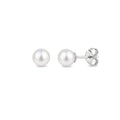 Classic Earrings with White Freshwater Pearls