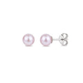 Classic Freshwater Purple Pearl Earrings