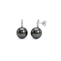 Black Tahitian pearl earrings